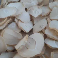 خشک کردن موسیر به صورت دستمزدی