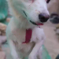 با این شماره هماهنگ کنید