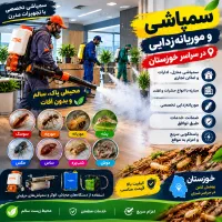 سمپاشی(موریانه زدایی)سم پاشی ساس سوسک/10سال ضمانت