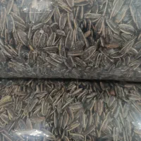 تخمه کدو و آفتابگردان|خوردنی و آشامیدنی|تهران, جوادیه تهرانپارس|دیوار