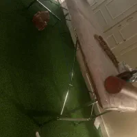 تخت ماساژ رنگ عسلی|آرایشی، بهداشتی، درمانی|مشهد, آبادگران|دیوار