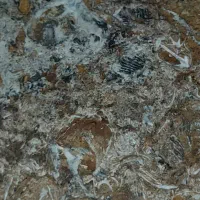 سنگ بارزش|جواهرات|گنبد کاووس, |دیوار