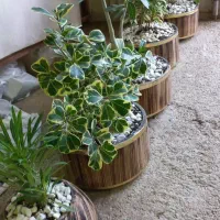 فروشنده. همکار .گلفروشی .کارگر