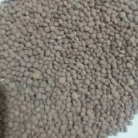 عدس ریز