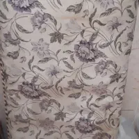 دو عدد پشتی