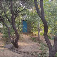 فروش باغ با سند و الاچیغ و.. در پل زمانخان سامان|فروش دفتر صنعتی، کشاورزی، تجاری|سامان, |دیوار