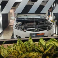 آریو زوتی z300