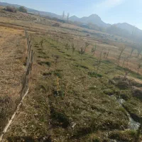 500متر زمین در روستای خوش اب وهوای گوغر