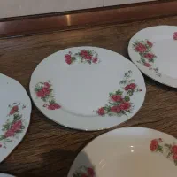 ۶ عدد پیش دستی گل سرخی