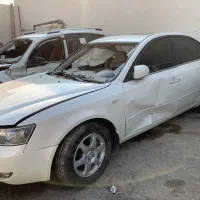 سوناتا ۲۰۰۸ دورنگ تصادفی