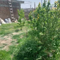 فروش-زمین-در-سرعین