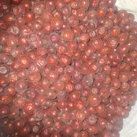 عناب|خوردنی و آشامیدنی|تهران, شهرک دانشگاه|دیوار