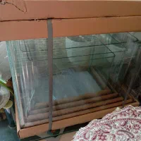 آکواریوم و ماهی زینتی