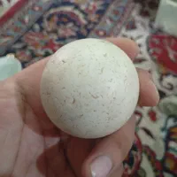 شهابسنگالماسوگوهرنابیاقوتتراشنخوره
