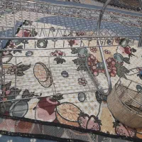 ابچکان نو نو|آب‌چکان و نظم‌دهنده ظروف|بم, |دیوار