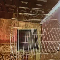 قفس بزرگ پرنده|لوازم جانبی حیوانات|اهواز, کیانپارس |دیوار