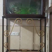 فروش آکواریوم|ماهی|یاسوج, |دیوار