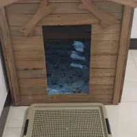 لانه پت خانگی