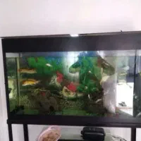 اکواریوم باپایه .معاوضه هم دارم