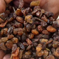 مویز افتاب خشک