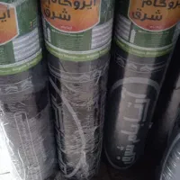 ایزوگام شرق و قیرگونی