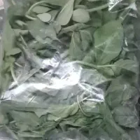 سبزی خوردن