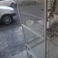 قفس پرنده بالوازم داخل