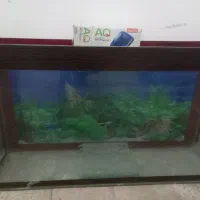 آکواریوم و پمپ