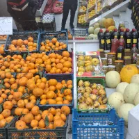 کارگر ماهر میوه فروشی