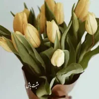 میز ناخن