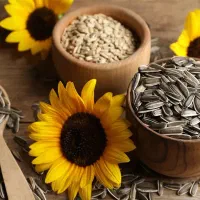 پخش خشکبار ممتاز ، تخمه ، کشمش ، رب انار