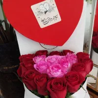 گل طبیعی|گل و گیاه طبیعی|سبزوار, قصبه شرقی|دیوار