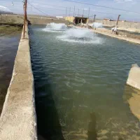 پرورش ماهی ده تنی فروشی