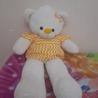 خرس بزرگ نو|اسباببازی|مشگین شهر, |دیوار