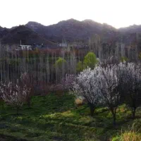 باغ درب بهشت کرمان
