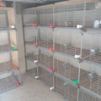 ساخت گنجه کفتر|خدمات پیشه و مهارت|تهران, تهرانسر شرقی|دیوار