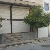 مغازه ۲۰ متری فرعی شکری
