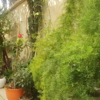 خانه-103متری-در-خیابان-امامزاده-ابراهیم-سند-تک-برگ