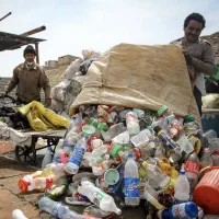 انواع بازیافت ( زنده و آسیابشور) پلاستیک،پت،نایلون