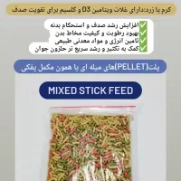 انواع نژاد حلزون و انواع ملزومات نگهداری|لوازم جانبی حیوانات|اهواز, شهرک حفاری|دیوار