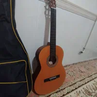 گیتار پارسی M2 نوع