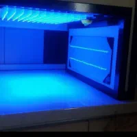 اجاره دستگاه زردی نوزاد (فتوتراپی)