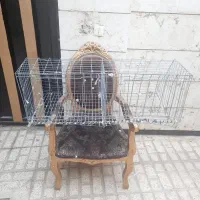 قفس مرغ کبوتر چپ راست ساده هفترنگ افغانی جفتگاه