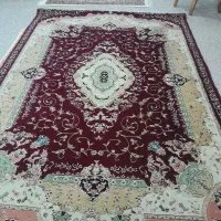 فرش|فرش|اهواز, شهرک دانشگاه|دیوار