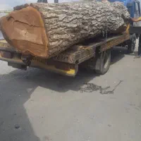 خریدفروش انوع چوب گردو،چنار،میوه،تیرچوب کهنه،بید