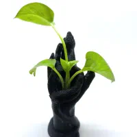 دکوری و تزئینی و جا کلیدی