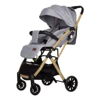 کالسکه و کریر و مامی بگ