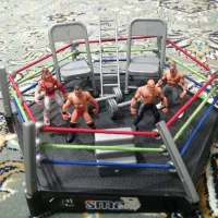 رینگ کشتی کج با همه ملزومات