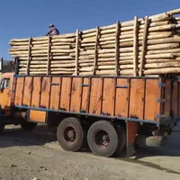 خریدو فروش انواع چوب آلات باغی جنگلی در استان