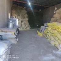 دامداری صنعتی2500متر|فروش دفتر صنعتی، کشاورزی، تجاری|سمنان, |دیوار